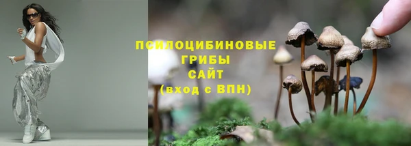 соль ск Аркадак