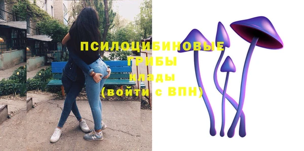 МДПВ Армянск