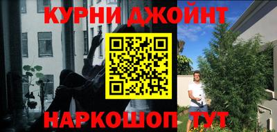 PSILOCYBIN Бийск