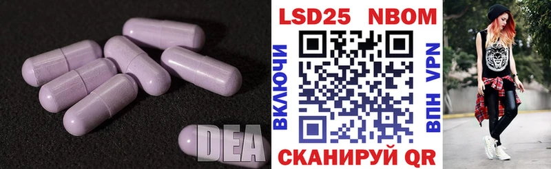 как найти   Городец  ЛСД экстази кислота 