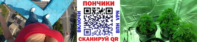 мега зеркало  Городец  Шишки марихуана SATIVA & INDICA 